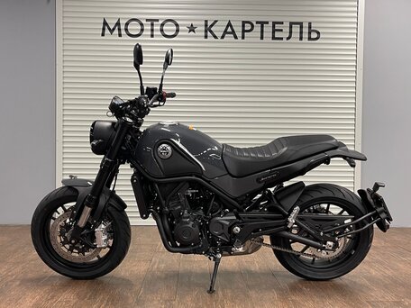 2026 Benelli Leoncino 500, серый, 620000 рублей, вид 1