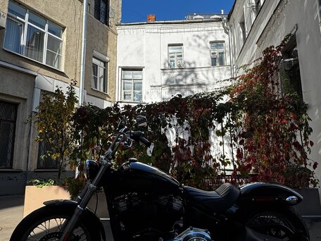 2019 Harley-Davidson Softail Standard, чёрный, 1085000 рублей, вид 5