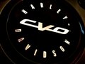 2021 Harley-Davidson CVO, коричневый - вид 7