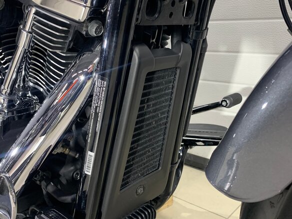2021 Harley-Davidson Fat Boy, серый, 1849000 рублей - вид 19