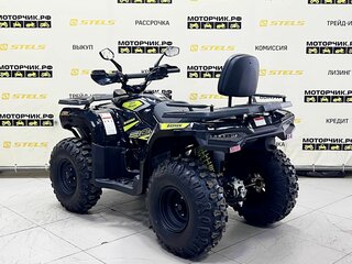 2025 Bashan Explorer 300, чёрный, 299000 рублей, вид 3