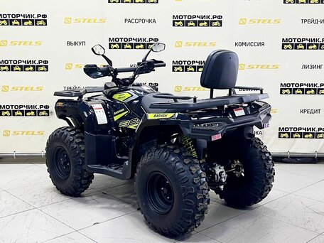2025 Bashan Explorer 300, чёрный, 299000 рублей, вид 3