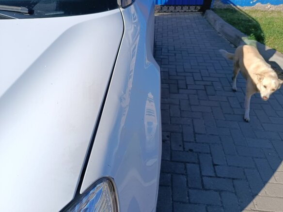 2012 Skoda Yeti I, белый, 752000 рублей - вид 17