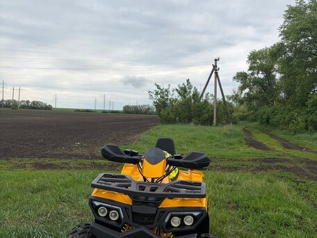 2020 Motoland Wild Track 200, жёлтый, 100000 рублей, вид 1