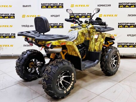 2026 Motoland Wild Track 200 X Pro, жёлтый, 219000 рублей, вид 5