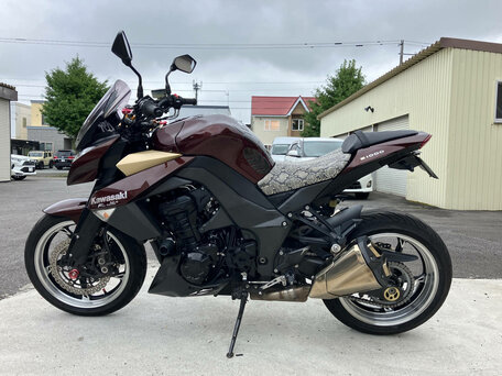 2010 Kawasaki Z 1000, коричневый, 548825 рублей, вид 2