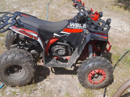 2021 Другие ATV (другие), красный, 90000 рублей, вид 3