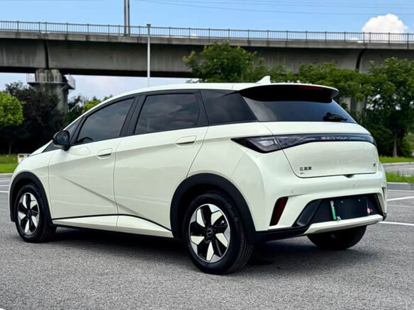 2024 BYD Dolphin 44.9 kWh I, белый, 1630000 рублей - вид 5
