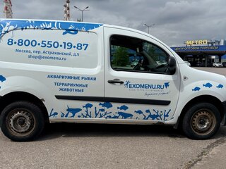 2013 Renault Kangoo II, белый, 500000 рублей, вид 2