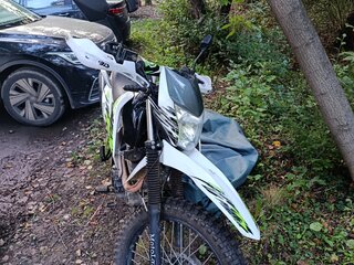 2021 Motoland Enduro 250, белый, 75000 рублей, вид 4