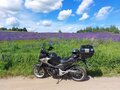 2017 Honda NC 750X, чёрный, 800000 рублей - вид 5