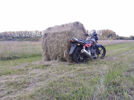 2015 Racer Magnum, коричневый, 60000 рублей, вид 4