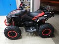 2019 BRP Can-Am Renegade 1000, красный - вид 2