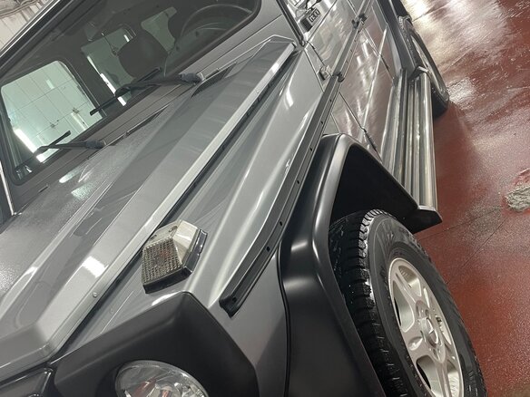 2013 Mercedes-Benz G-Класс 300 Professional I (W461) Professional, серый - вид 15