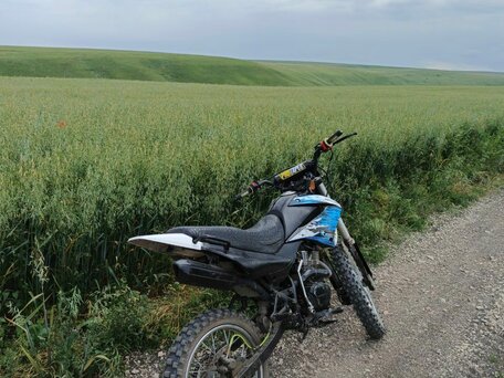 2017 Racer Panther, чёрный, 89000 рублей, вид 3