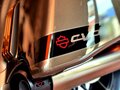 2021 Harley-Davidson CVO, коричневый - вид 6
