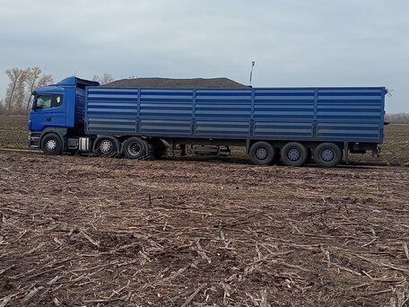 2008 Scania R-Series, синий, 5700000 рублей, вид 2