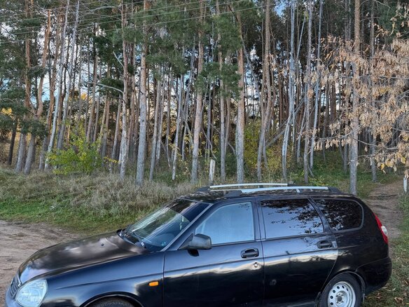 2010 Lada (ВАЗ) Priora I, синий, 220000 рублей - вид 2