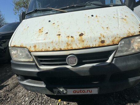 2011 Fiat Professional Ducato, белый, 830000 рублей, вид 4