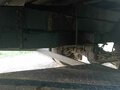 2008 Mercedes-Benz Sprinter, белый, 1700000 рублей - вид 10