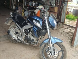 2023 Racer RC110N, синий, 130000 рублей, вид 4