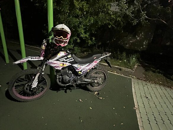 2024 Motoland Enduro 250, серый, 100000 рублей - вид 4