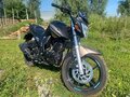 2024 Motoland Bandit 300, чёрный, 175000 рублей - вид 7