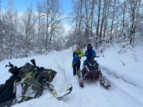 2016 Polaris 800 PRO-RMK, серый, 820000 рублей, вид 3