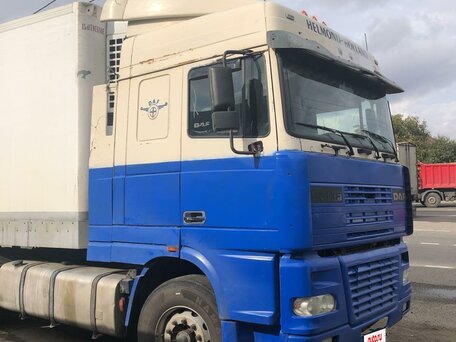 1999 DAF XF 95, синий, 3200000 рублей, вид 3