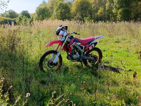 2021 Motoland XR250, красный, 67000 рублей, вид 4