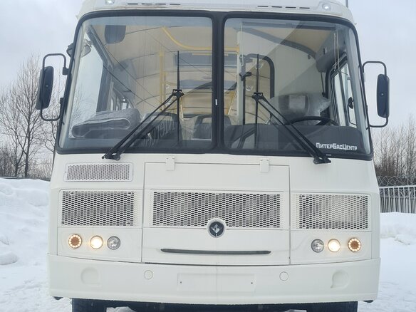 2022 ПАЗ 4234, белый - вид 5