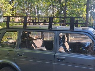 2011 Lada (ВАЗ) 2131 (4x4) I, серый, 400000 рублей, вид 4