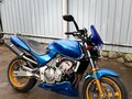 2000 Honda CB 600F Hornet, синий, 395000 рублей - вид 2