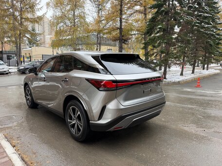 2025 Lexus RX 300 V, серый, 6990000 рублей, вид 5