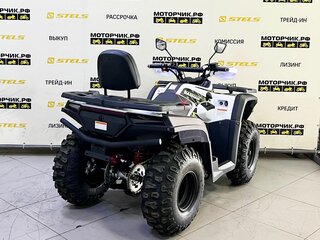 2025 Bashan Explorer 300, белый, 339000 рублей, вид 5