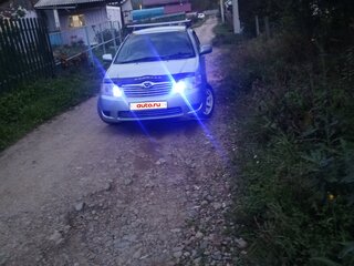 2006 Toyota Corolla IX (E120, E130) Рестайлинг, синий, 680000 рублей, вид 2