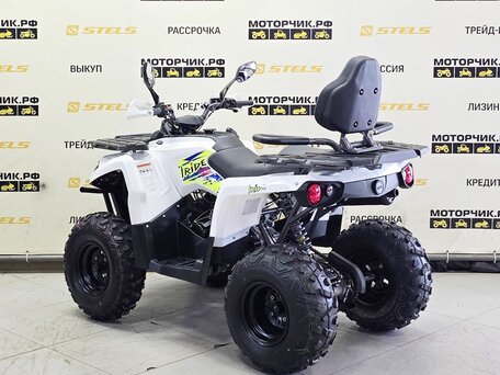 2025 Iride 200 Rover L, белый, 179000 рублей, вид 3