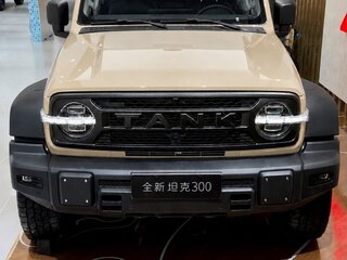 2026 Tank 300 L I Рестайлинг 2, бежевый, 6000000 рублей, вид 1