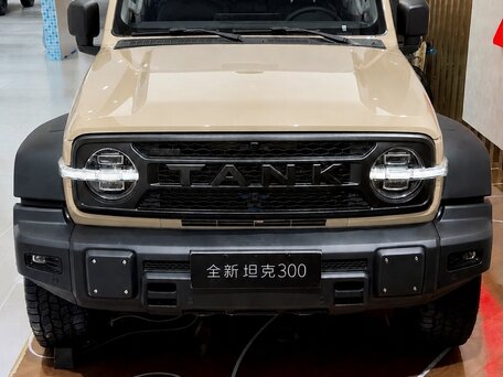2026 Tank 300 L I Рестайлинг 2, бежевый, 6000000 рублей, вид 1