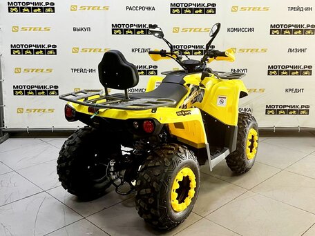 2025 Bison Hammer 200, жёлтый, 219000 рублей, вид 5