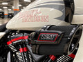 2024 Harley-Davidson CVO Road Glide ST, белый, 5500000 рублей - вид 6