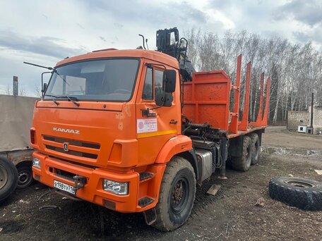 2019 КамАЗ 43118, оранжевый, 2500000 рублей, вид 1