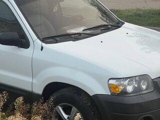 2004 Ford Escape I Рестайлинг, белый, 500000 рублей, вид 1