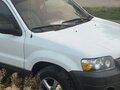 2004 Ford Escape I Рестайлинг, белый, 500000 рублей