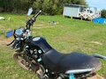 2023 Regulmoto SK200, чёрный, 100000 рублей - вид 6
