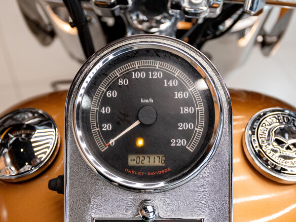 2008 Harley-Davidson Fat Boy, золотистый, 1300000 рублей - вид 18