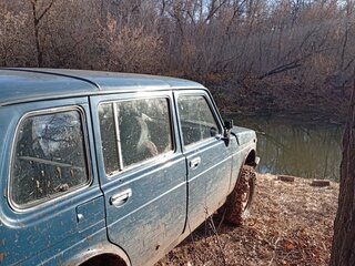 2001 Lada (ВАЗ) 2131 (4x4) I, синий, 149000 рублей, вид 3