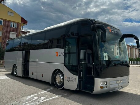 2004 MAN Lion's Coach, серый, 3300000 рублей, вид 1