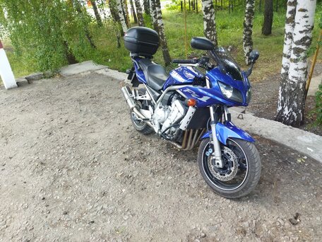 2001 Yamaha FZS1000 Fazer, синий, 400000 рублей, вид 1