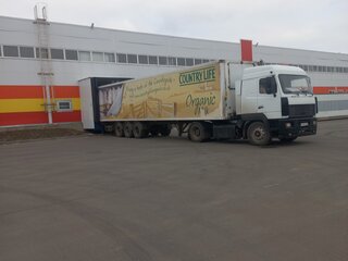 2007 Gray&Adams GA3B/11, белый, 800000 рублей, вид 1